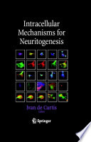 Intracellular Mechanisms for Neuritogenesis [E-Book] /
