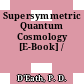 Supersymmetric Quantum Cosmology [E-Book] /