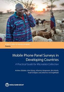 Mobile phone panel surveys in developing countries [E-Book] /