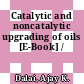 Catalytic and noncatalytic upgrading of oils [E-Book] /