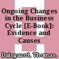 Ongoing Changes in the Business Cycle [E-Book]: Evidence and Causes /