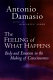 The feeling of what happens : body and emotion in the making of consciousness /