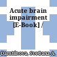 Acute brain impairment [E-Book] /