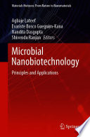Microbial Nanobiotechnology [E-Book] : Principles and Applications /