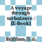 A voyage through turbulence / [E-Book]