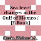Sea-level changes in the Gulf of Mexico / [E-Book]