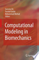 Computational Modeling in Biomechanics [E-Book] /