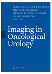 Imaging in oncological urology /