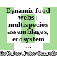 Dynamic food webs : multispecies assemblages, ecosystem development, and environmental change [E-Book] /