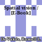 Spatial vision / [E-Book]