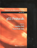 P53 protocols /