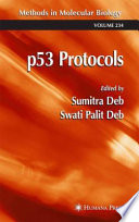 p53 Protocols [E-Book] /