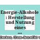 Energie-Alkohole : Herstellung und Nutzung eines synthetischen flüssigen Energieträgers [E-Book] /