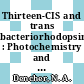 Thirteen-CIS and trans bacteriorhodopsin : Photochemistry and dark equilibrium [E-Book] /