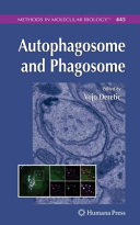 Autophagosome and phagosome /