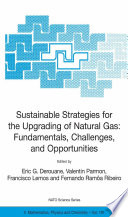 Sustainable Strategies for the Upgrading of Natural Gas: Fundamentals, Challenges, and Opportunities [E-Book] : Proceedings of the NATO Advanced Study Institute, held in Vilamoura, Portugal, July 6 - 18, 2003 /