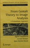 From Gestalt Theory to image analysis : a probabilistic approach /