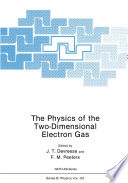 The Physics of the Two-Dimensional Electron Gas [E-Book] /
