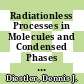 Radiationless Processes in Molecules and Condensed Phases [E-Book] : in Molecules and Condensed Phases /