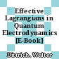Effective Lagrangians in Quantum Electrodynamics [E-Book] /