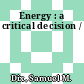 Energy : a critical decision /