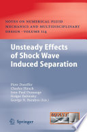 Unsteady Effects of Shock Wave Induced Separation [E-Book] /