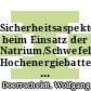 Sicherheitsaspekte beim Einsatz der Natrium/Schwefel- Hochenergiebatterien : Abschlussbericht: Berichtszeitraum: 01.07.1989 - 31.03.1992.