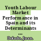 Youth Labour Market Performance in Spain and its Determinants [E-Book]: A Micro-Level Perspective /