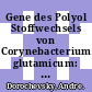 Gene des Polyol Stoffwechsels von Corynebacterium glutamicum: molekulargenetische Charakterisierung und chromosomale Inaktivierung.