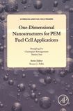 One-dimensional nanostructures for PEM fuel cell applications /