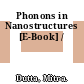 Phonons in Nanostructures [E-Book] /