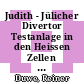 Judith - Jülicher Divertor Testanlage in den Heissen Zellen : eine Elektronenstrahlanlage für Materialtests [E-Book] /