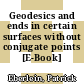 Geodesics and ends in certain surfaces without conjugate points [E-Book] /