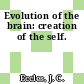 Evolution of the brain: creation of the self.