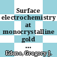 Surface electrochemistry at monocrystalline gold electrodes /