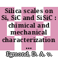 Silica scales on Si, SiC and SiSiC : chimical and mechanical characterization after oxidation in different water vapor containing atmospheres [E-Book] /