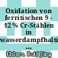 Oxidation von ferritischen 9 - 12 % Cr-Stählen in wasserdampfhaltigen Atmosphären bei 550 bis 650 Grad C [E-Book] /