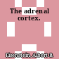 The adrenal cortex.