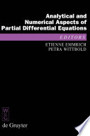 Analytical and Numerical Aspects of Partial Differential Equations [E-Book] : Notes of a Lecture Series.