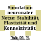 Simulation neuronaler Netze: Stabilität, Plastizität und Konnektivität.