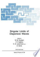 Singular Limits of Dispersive Waves [E-Book] /
