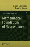 Mathematical foundations of neuroscience /