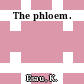 The phloem.