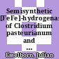Semisynthetic [FeFe]-hydrogenases of Clostridium pasteurianum and Chlamydomonas reinhardtii = Semisynthetische [FeFe]-Hydrogenasen aus Clostridium pasteurianum und Chlamydomonas reinhardtii /