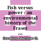 Fish versus power : an environmental history of the Fraser River [E-Book] /