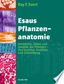 Esaus Pflanzenanatomie [E-Book] : Meristeme, Zellen und Gewebe der Pflanzen - ihre Struktur, Funktion und Entwicklung.