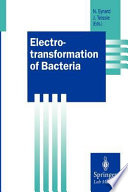 Electrotransformation of bacteria /