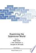 Examining the Submicron World [E-Book] /