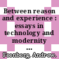 Between reason and experience : essays in technology and modernity [E-Book] /