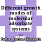 Different growth modes of molecular adsorbate systems and 2D materials investigated by low-energy electron microscopy /